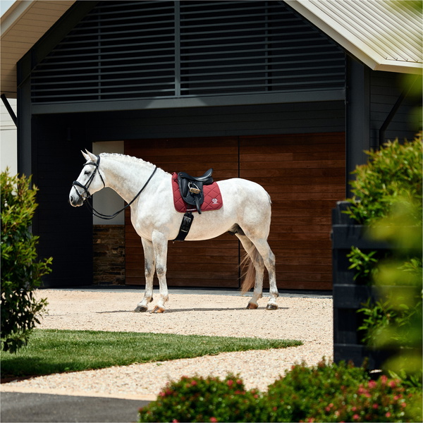 2026 WeatherBeeta Softshell Pro 3D Air-Tec Dressage Saddle Pad 103035 - Burgundy